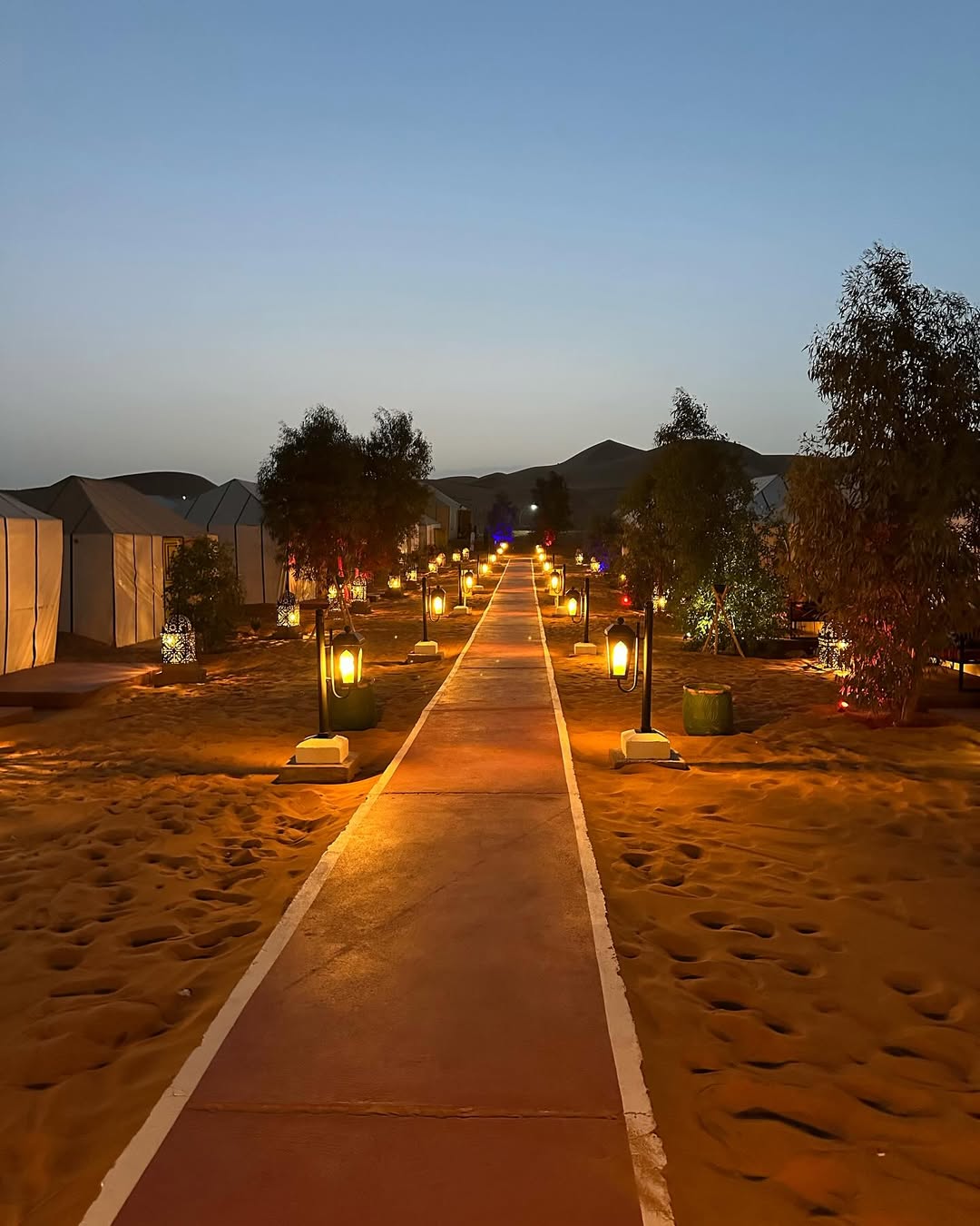 Desert Experience