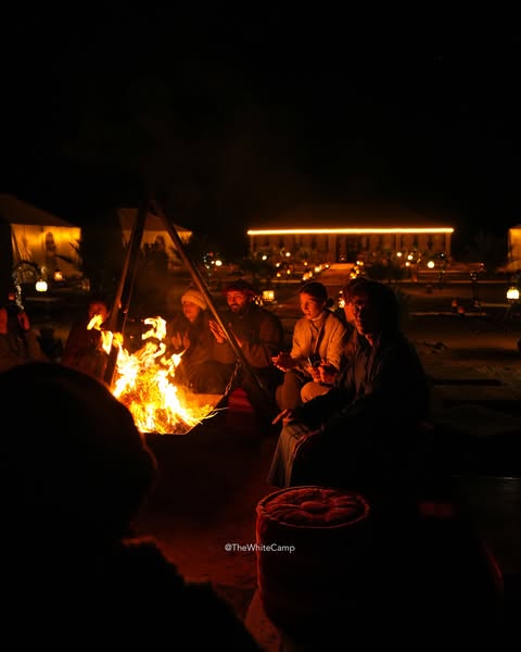 Desert Campfire Gathering at Night